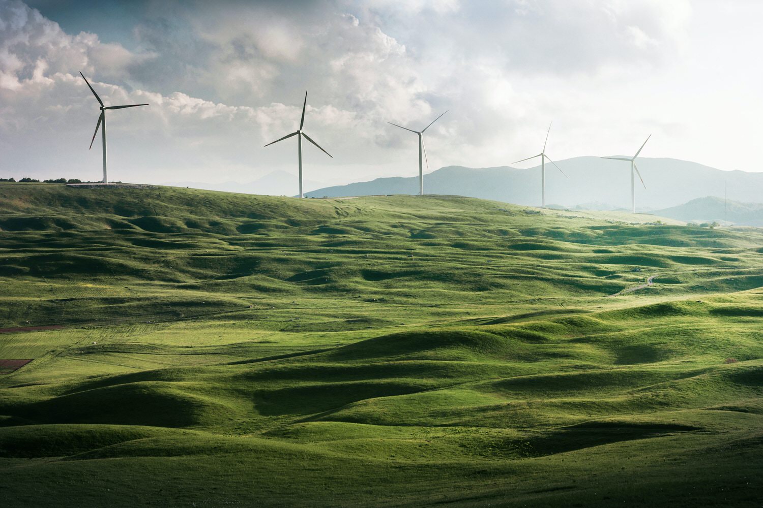 alcantara sustainability