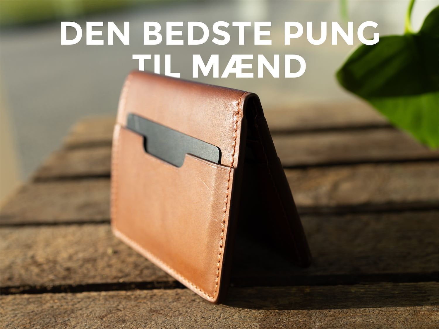 De bedste punge til mænd